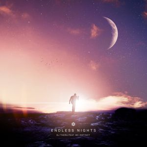 Cover art of 'Endless Nights'